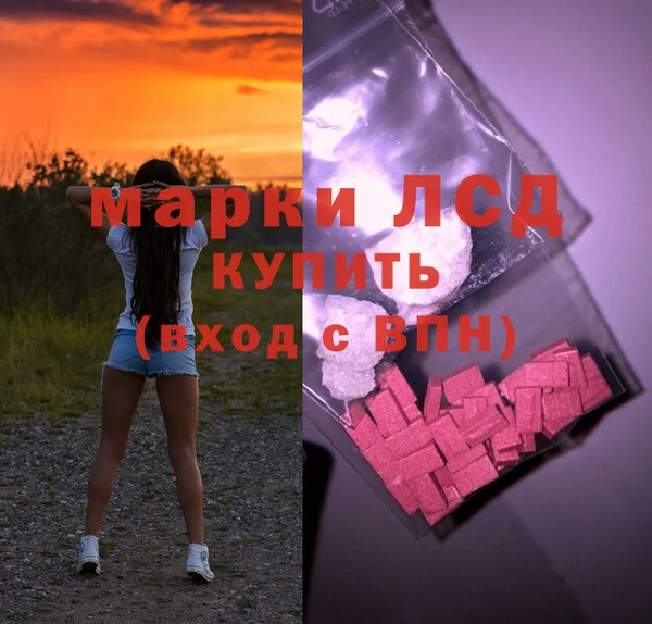 эйфоретик Аркадак