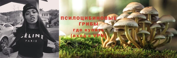 шишки Михайлов