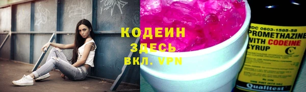 кокс Арсеньев