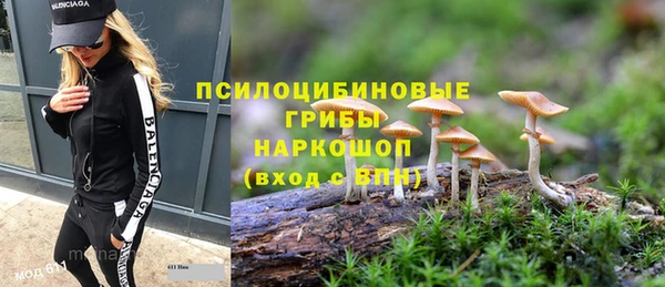 эйфоретик Аркадак