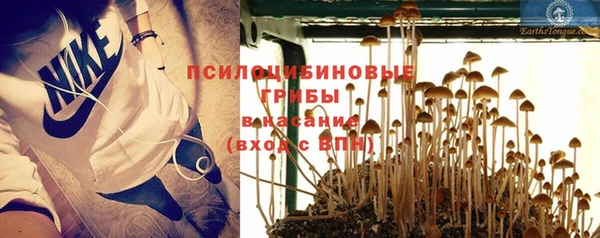 эйфоретик Аркадак