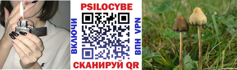 Купить где  Бежецк  Галлюциногенные грибы MAGIC MUSHROOMS 